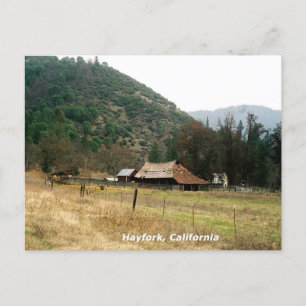 Cartão Postal Llama Ranch......