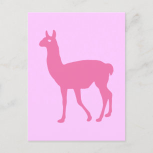 Cartão Postal Llama Rosa