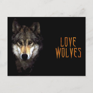 Cartão Postal lobo