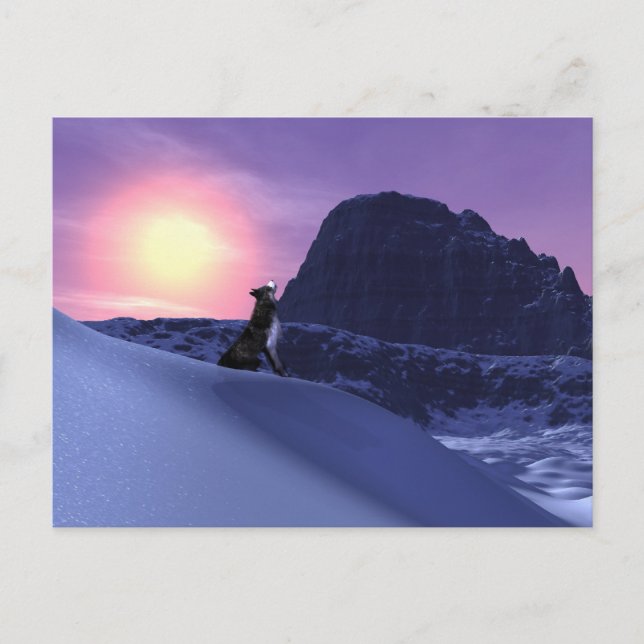 Cartão Postal lobo (Frente)