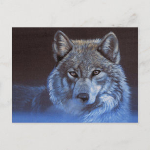 Cartão Postal Lobo Azul
