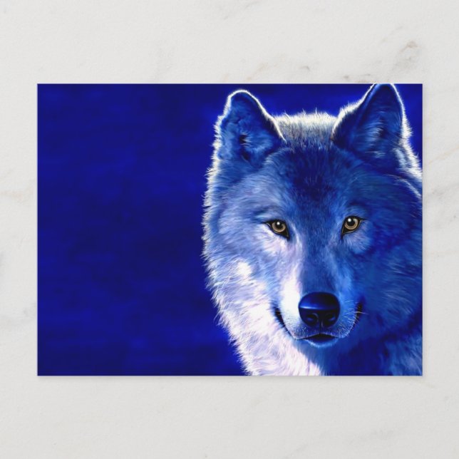 Cartão Postal Lobo Azul (Frente)