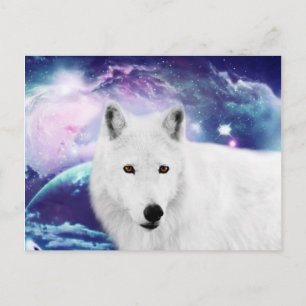 Cartão Postal Lobo branco