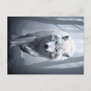 Cartão Postal Lobo Branco na Floresta Foggy