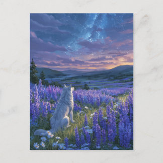 Cartão Postal Lobo Branco no Prado de Lupino Roxo