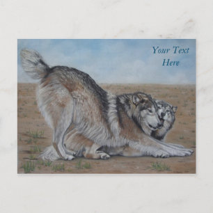Cartão Postal lobo cênico da vida selvagem realista arte animal