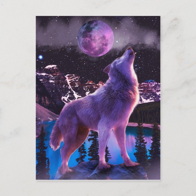 Cartão Postal lobo-cinza uivando na floresta (Frente)