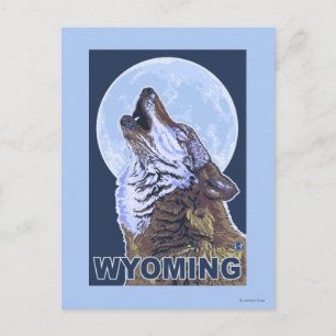Cartão Postal Lobo cinzento HowlingWyoming