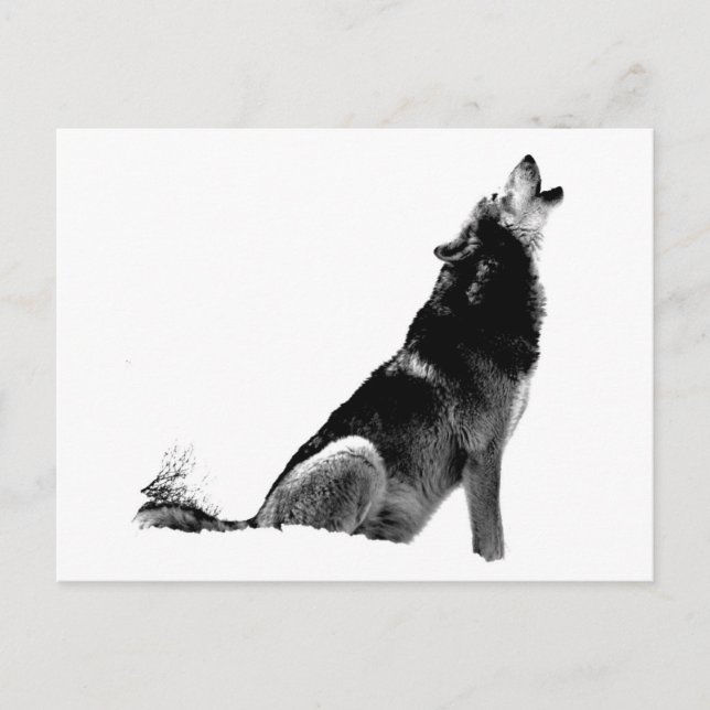 Cartão Postal Lobo-de-Howling Branco-Preto (Frente)