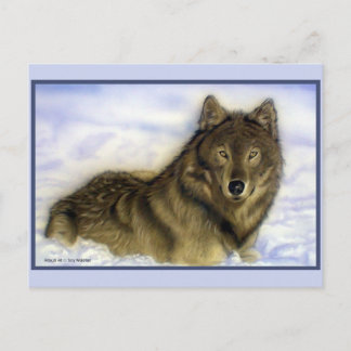 Cartão Postal Lobo de inverno