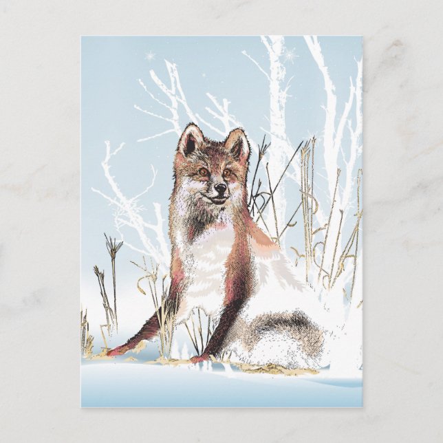 Cartão Postal Lobo de inverno (Frente)