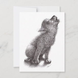 Cartão Postal Lobo Filhote Fofo