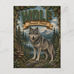 Cartão Postal Lobo Floresta Boreal POPCUT