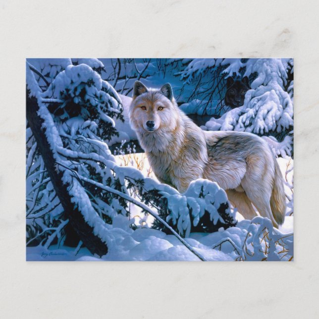 Cartão Postal Lobo na pintura da floresta de inverno (Frente)