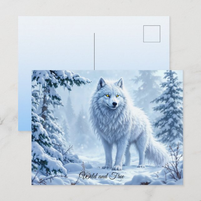 Cartão Postal Lobo-neve selvagem predadores natureza arte de inv (Frente/Verso)