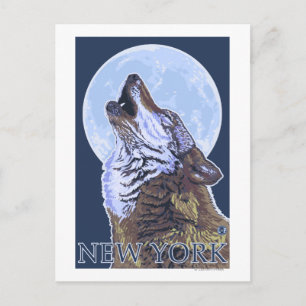Cartão Postal Lobo novo de YorkHowling
