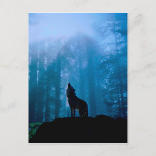 Cartão Postal Lobo Uivando na Natureza