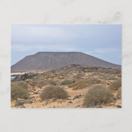 Cartão Postal Lobos das Ilhas Vulcânicas