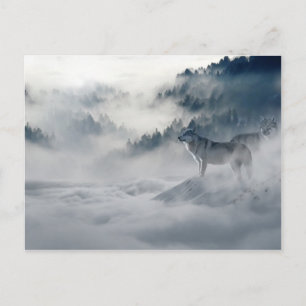 Cartão Postal Lobos Majestosos na Floresta Mista