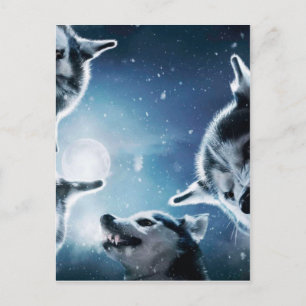 Cartão Postal Lobos zangados e lua