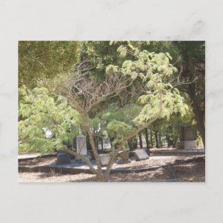 Cartão Postal Local de repouso