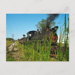 Cartão Postal Locomotiva a vapor na grama alta