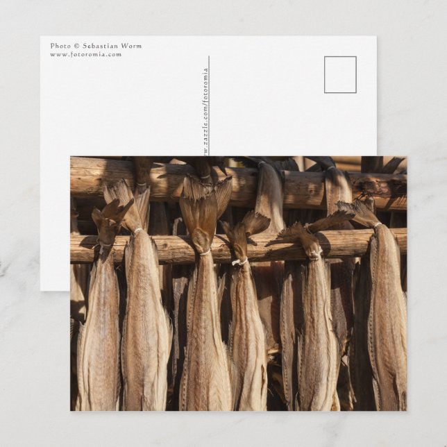 Cartão Postal Lofoten Stockfish (Frente/Verso)