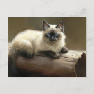 Cartão Postal Log Lounger Siamese Kitten