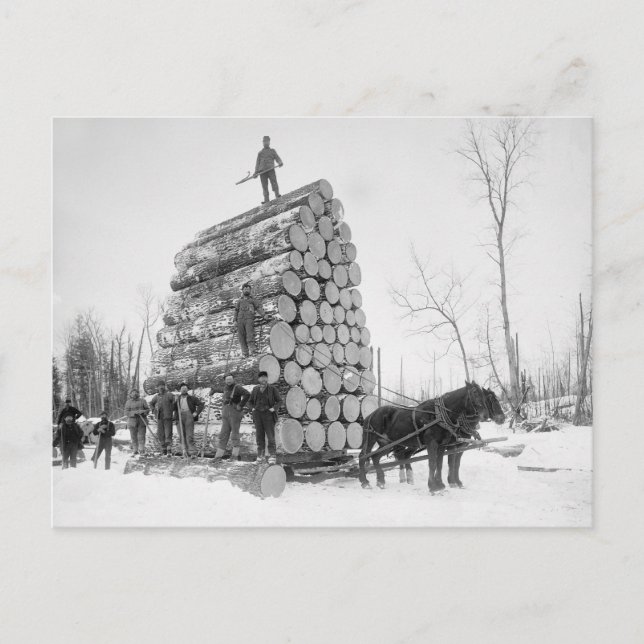 Cartão Postal Loggers No Trabalho, 1890 (Frente)