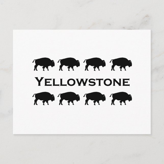 Cartão Postal Logotipo Bison Yellowstone (Frente)