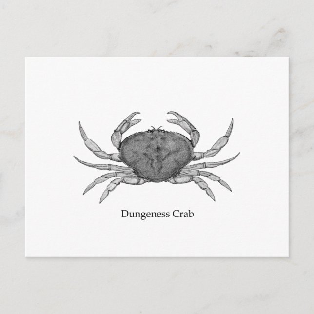 Cartão Postal Logotipo de caranguejo Dungeness (line art) (Frente)