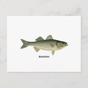 Cartão Postal Logotipo de Rockfish