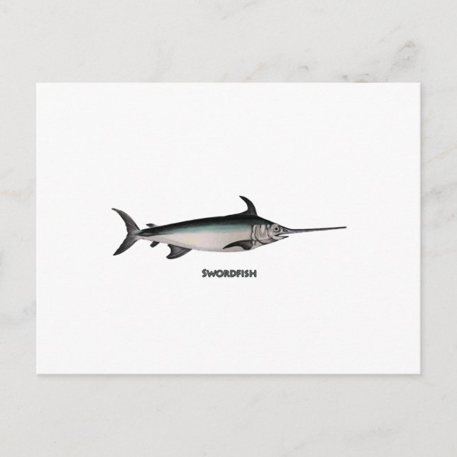 Cartão Postal Logotipo do Peixe-Espada (Frente)