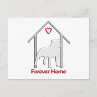 Cartão Postal Logotipo Pitbull Branco para sempre