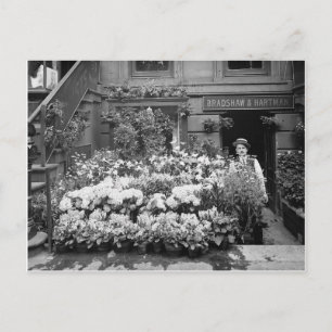 Cartão Postal Loja de Flores de Nova York, 1895