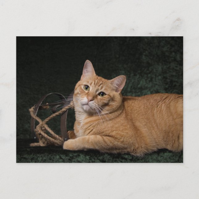 Cartão Postal Loki com trenó (Frente)