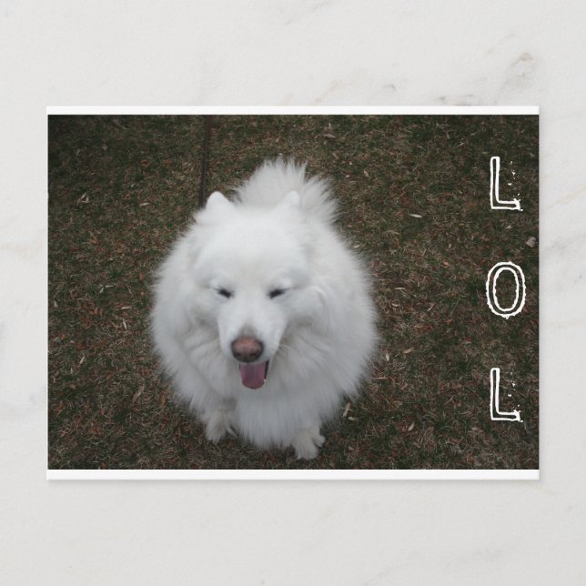 CARTÃO POSTAL LOL (Frente)