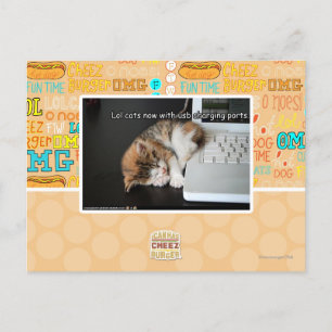 Cartão Postal Lol cats com USB