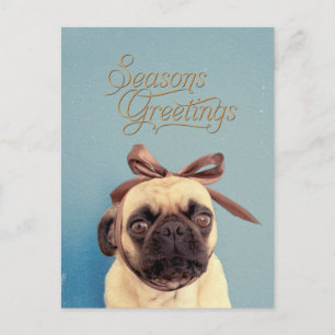 Cartão Postal Lola com arco