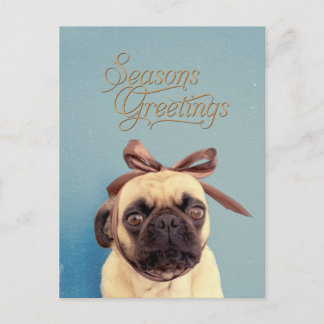 Cartão Postal Lola com arco