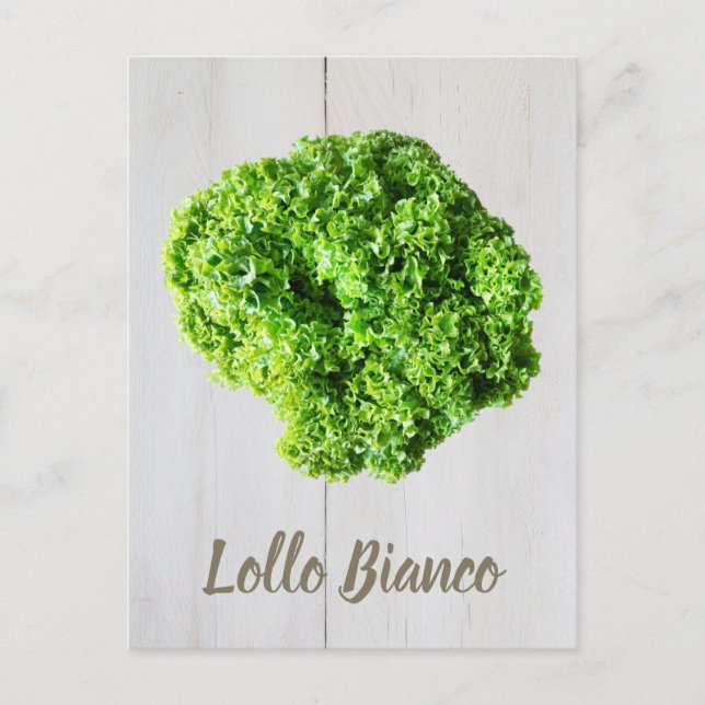 Cartão Postal Lollo Bianco Salad alface para Vegans (Frente)