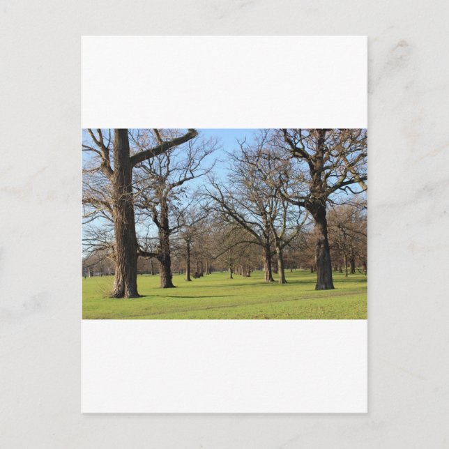 Cartão Postal Londres (Frente)