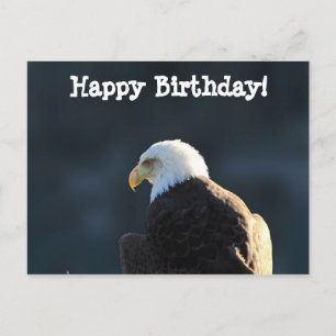 Cartão Postal Lone Bald Eagle; Parabéns