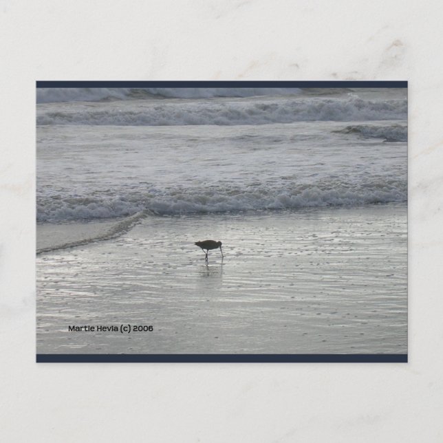 Cartão Postal Lone Sandpiper | Cartão-postal Blue Beach™ (Frente)