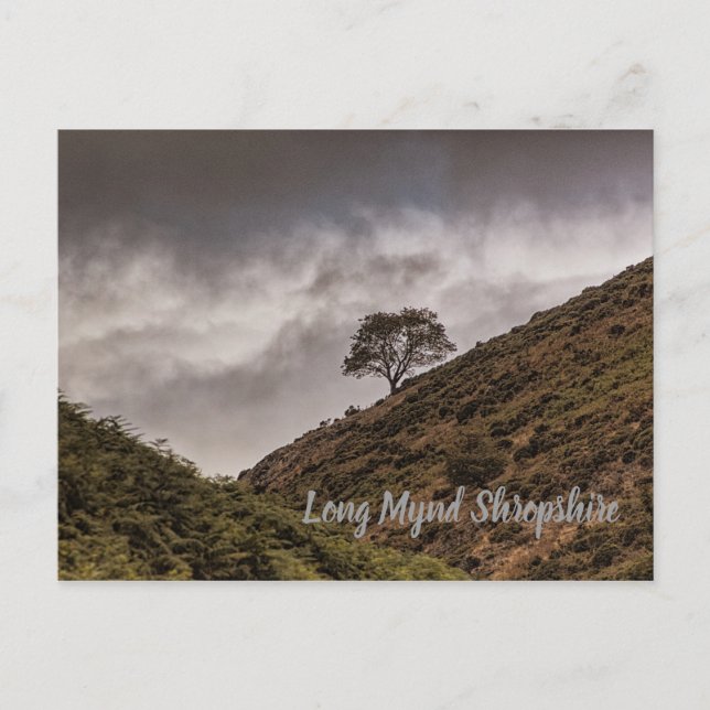 Cartão Postal Lone Tree Long Mynd Shropshire (Frente)