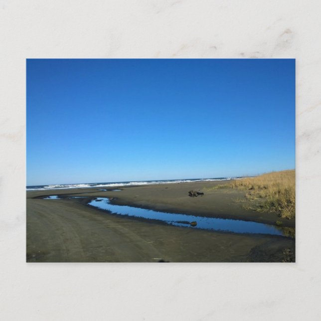 Cartão Postal Long Beach, Washington (Frente)