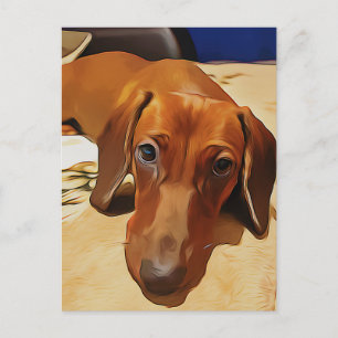 Cartão Postal Long Dachshund Está Deitado Na Cama