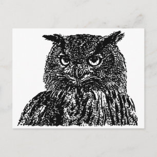 Cartão Postal Long Eared Owl