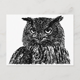 Cartão Postal Long Eared Owl