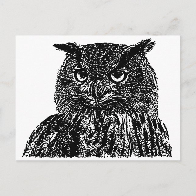 Cartão Postal Long Eared Owl (Frente)